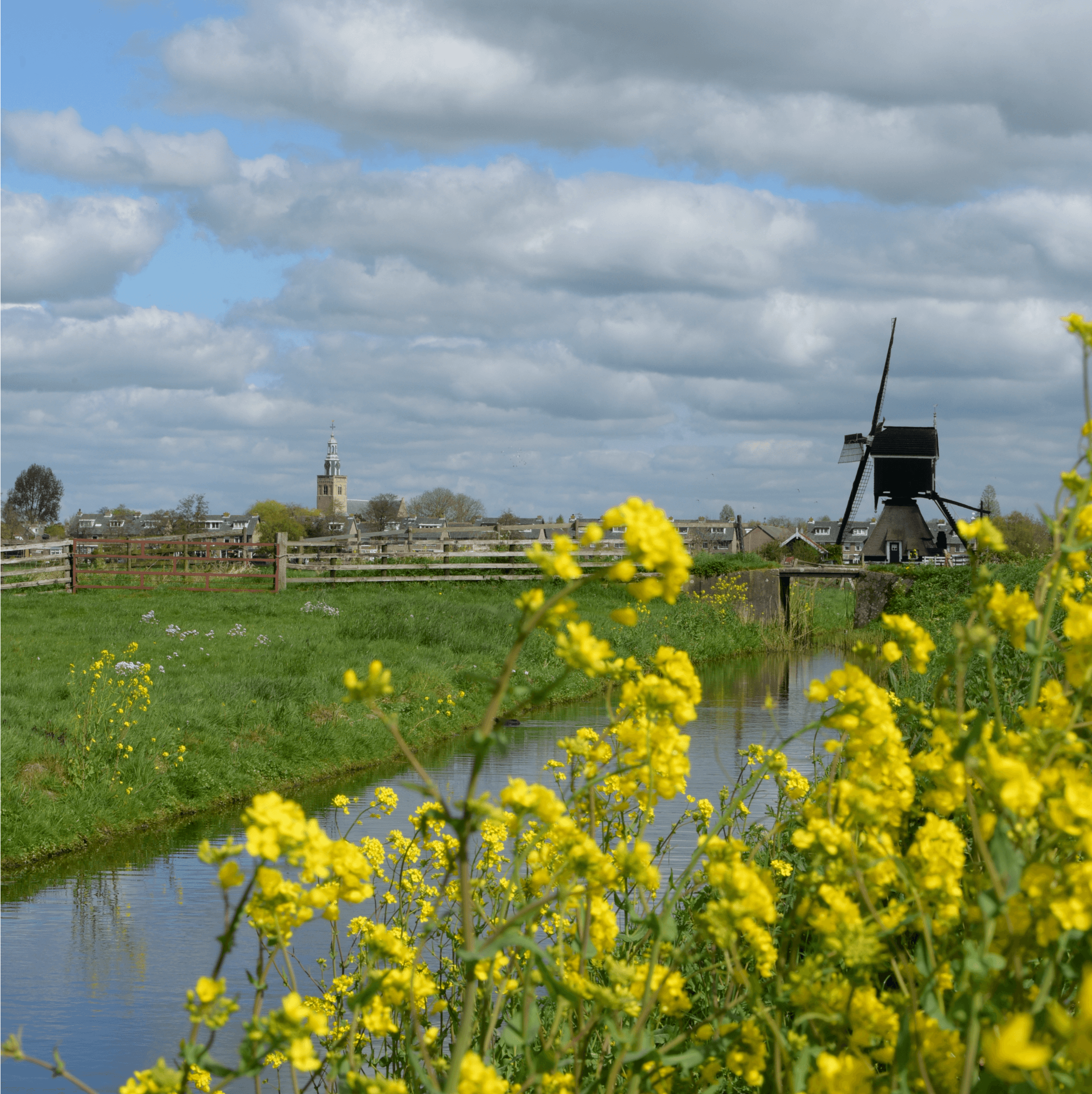 Bezoek Vanuit Onze B&B Kinderdijk, Dordrecht, Gouda, Nieuwpoort Of ...